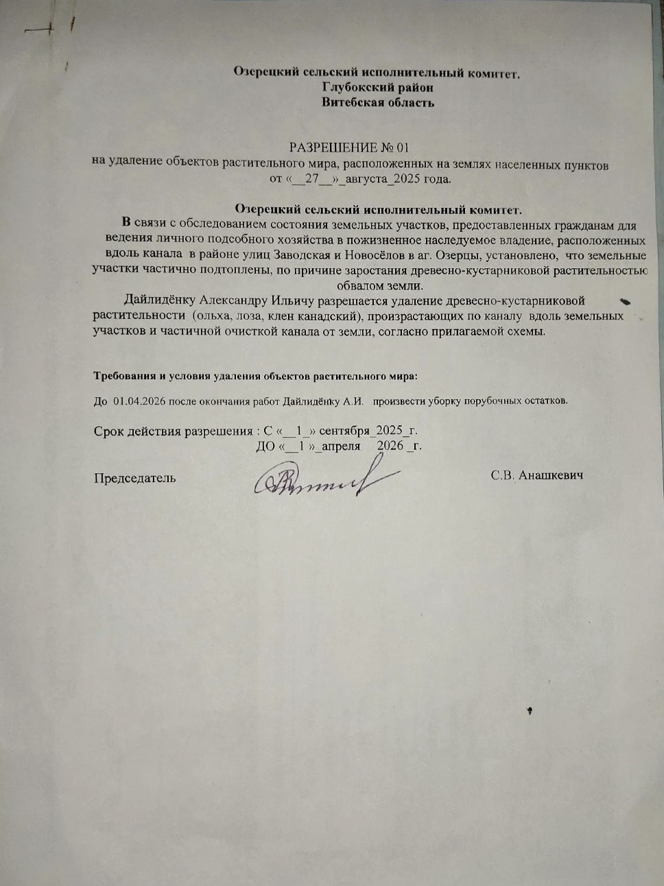Скриншот разрешения на вырубку кустарников местным сельсоветом
