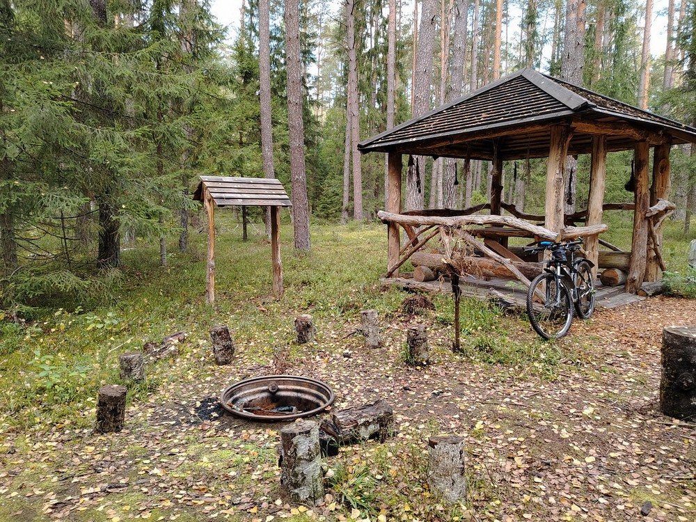 Веломаршрут Барановичского лесхоза. Фото: Victogan